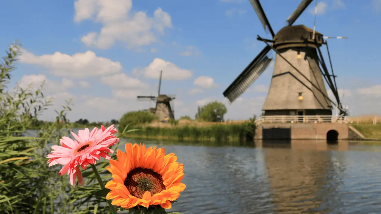 kinderdijk